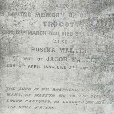 WALTER Trocott 1891-1915 :: WALTER Rosina 1856-1947