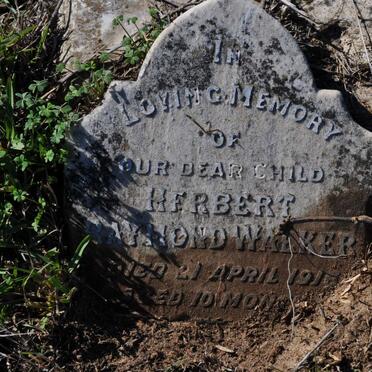 WALKER Herbert Raymond -1916