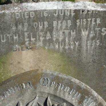 WATSON William Nyhoff -1924 :: WATSON William Henry -1930 :: WATSON Rosa Ann -1931 :: WATSON Ruth Elizabeth -1955