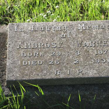 WARNER Ambrose 1877-1938