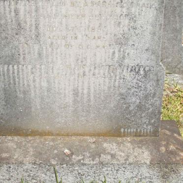 WALKER James -1894 :: DAVIES William Isaac -1894 