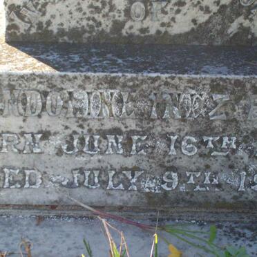 BROWN Gwendolin Inez 1903-1904