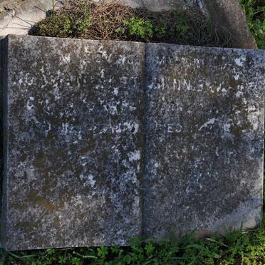 WEST Morgan :: WEST Minnie