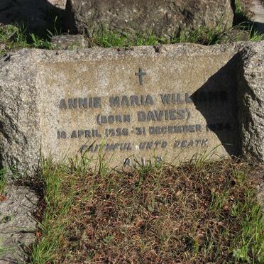 WILLIAMS Annie Maria nee DAVIES 1856-1934
