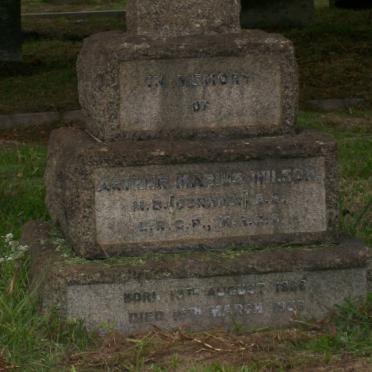 WILSON Arthur Marius 1866-1936