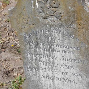 WILLIAMS Anthony Joseph -1954