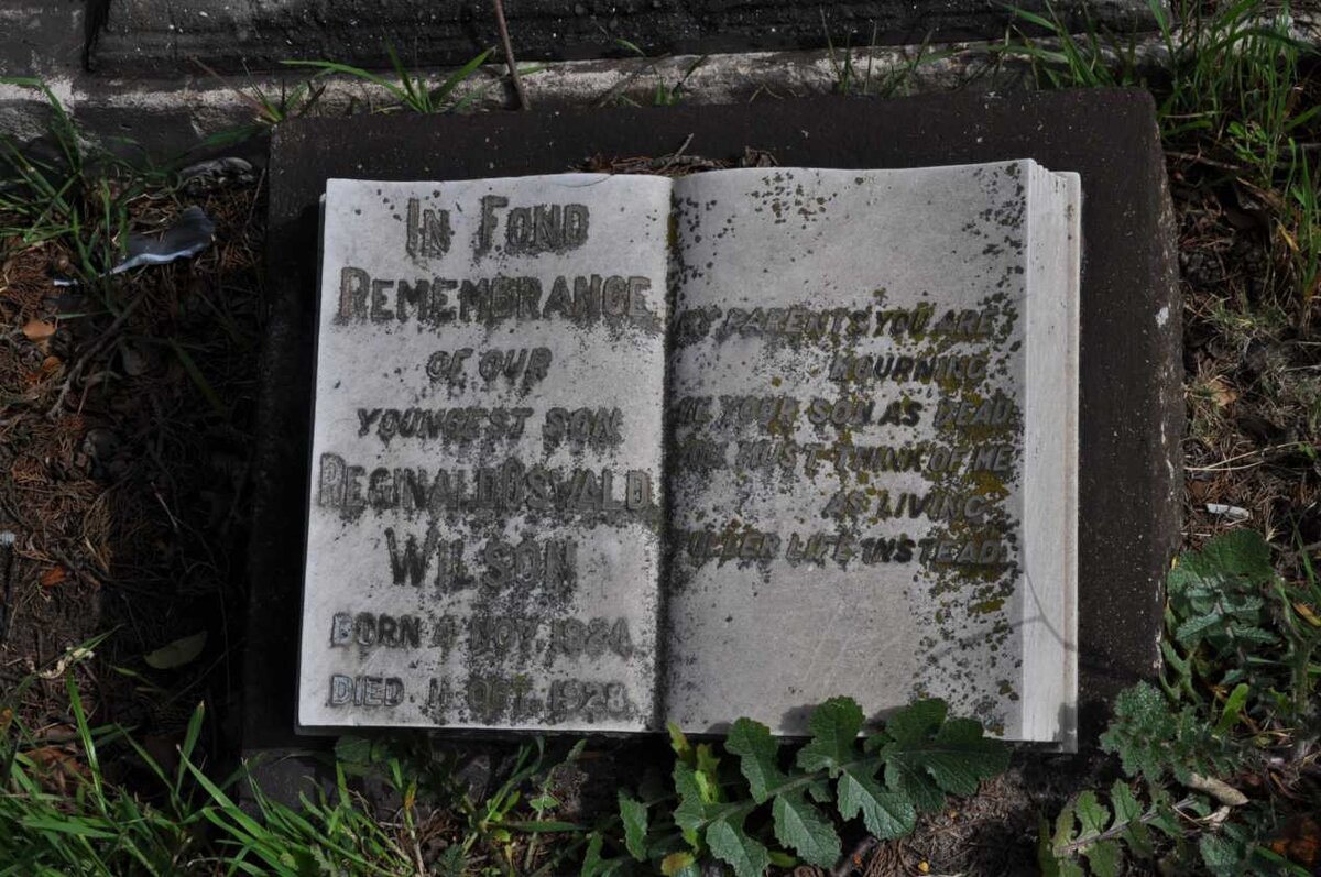 WILSON Reginald Oswald 1924-1928