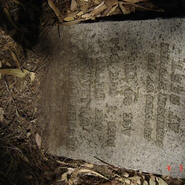 WILLIAMS Hester Federeka nee MEYER -1948