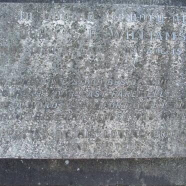 WILLIAMS John S.E. -1918