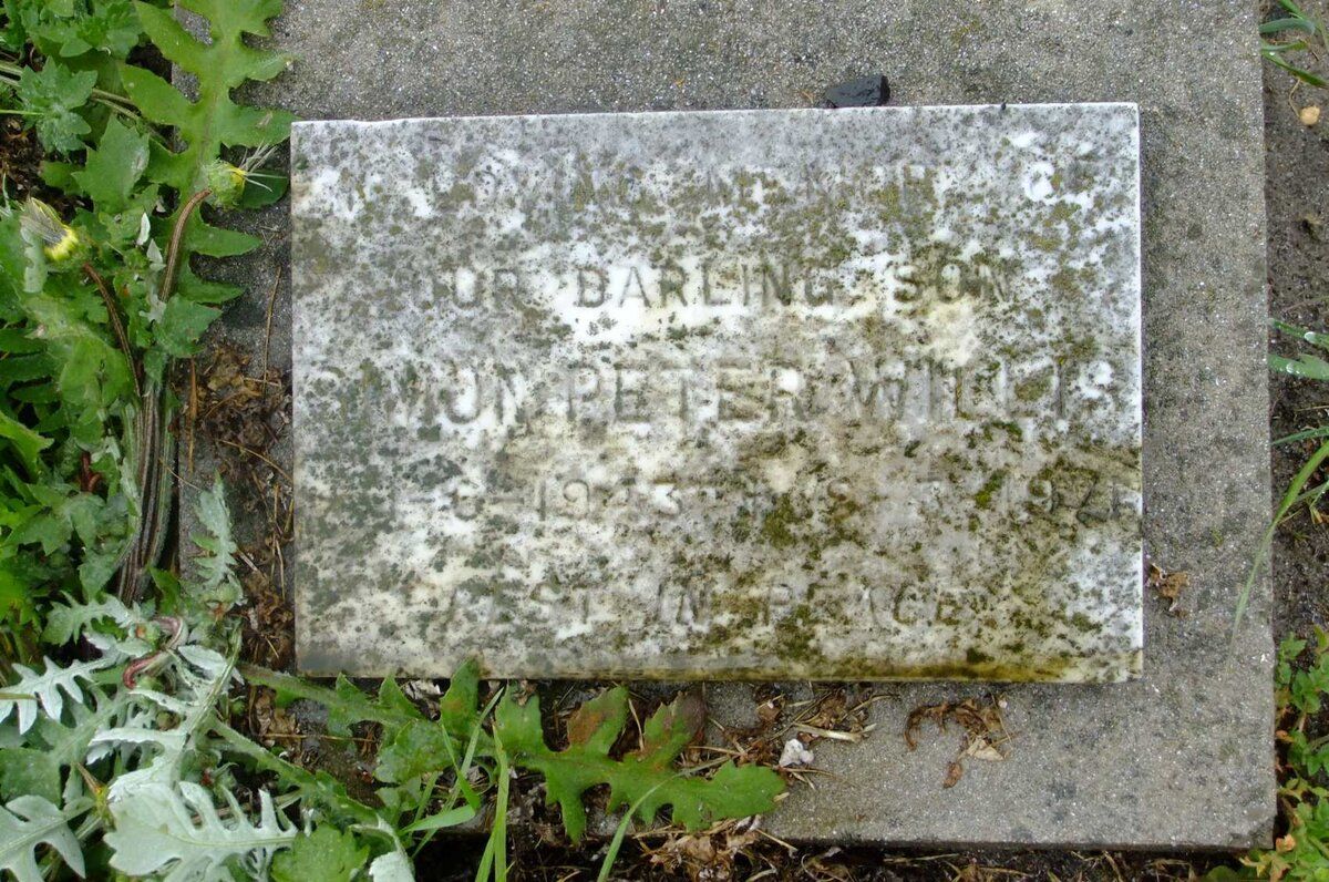 WILLIS Simon Peter 1943-1971