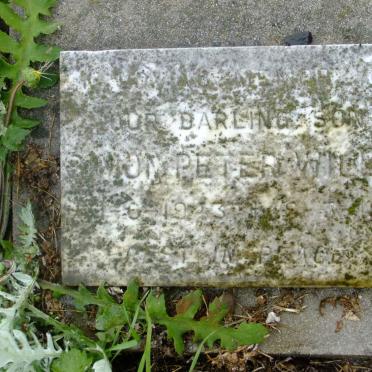 WILLIS Simon Peter 1943-1971