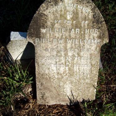 WILLIAMS Willie Arthur Piplow -1918