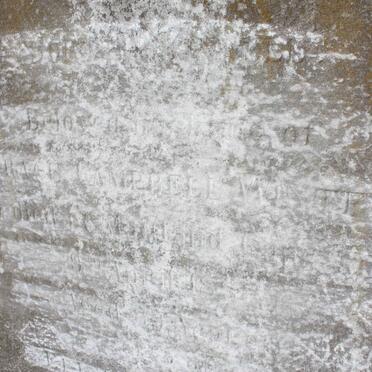 WINTER Grace Campbell -1???