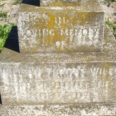 WILEY Alice Maude Mary -1934:: WILEY Charles William 1880-1942 &amp; Edith -1932 