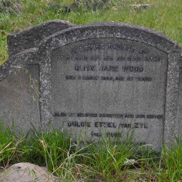 WOOD Olive Jane -1944 :: VAN ZYL Dulcie Ethel nee WOOD