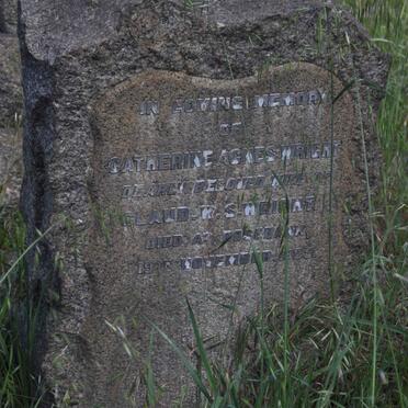 WRIGHT Catherine Agnes -1925