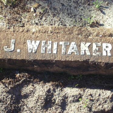 WHITAKER J.