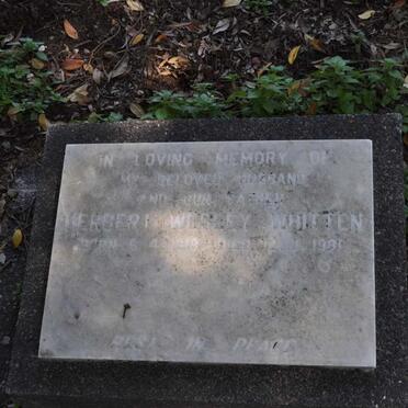 WHITTEN Herbert Wesley 1918-19??