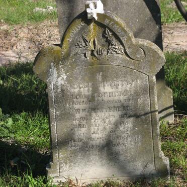 WHITEHEAD Bridget nee CONNELL 187?-1900