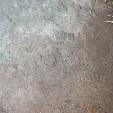 WHITE Augusta   -1895 