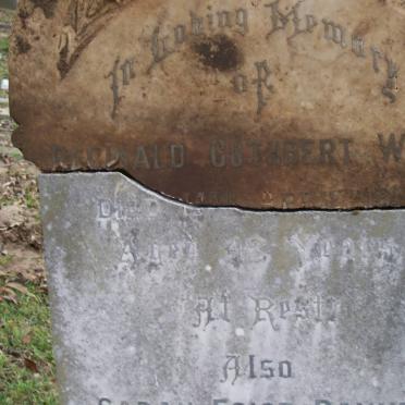 WHITE Reginald Cuthbert :: PAYNE Sarah Foigt nee JOLLY -1928