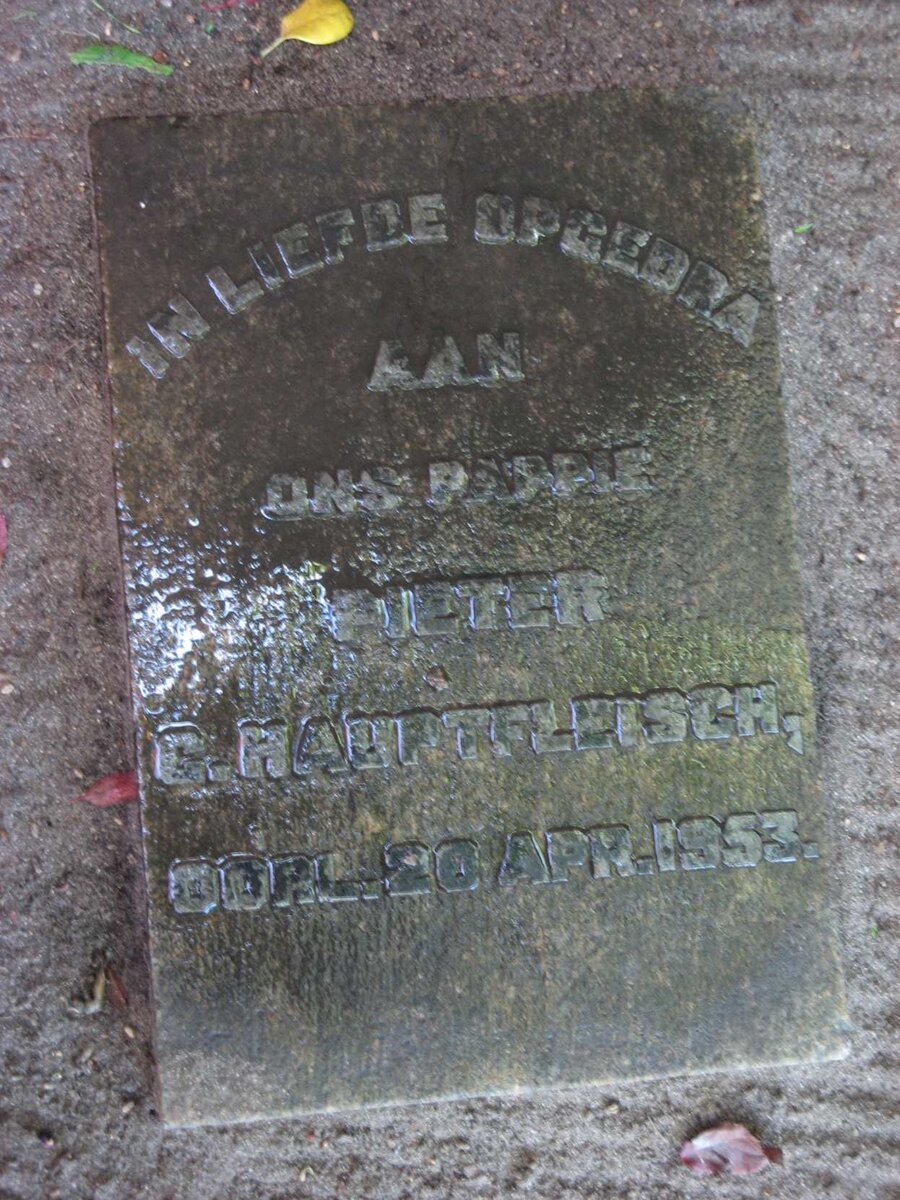 HAUPTFLEISCH Pieter G. -1953