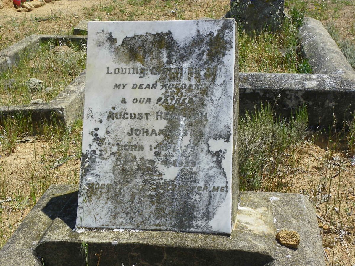 JOHANNES August Heinrich 1875-1955