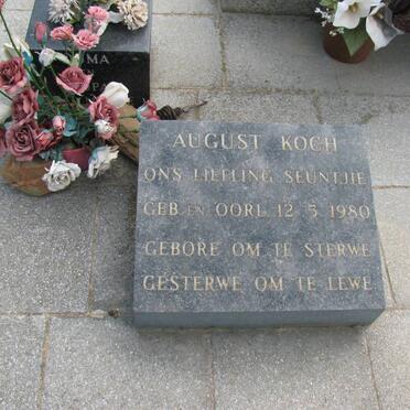 KOCH Stoffel 1897-1965 &amp; C.J.B. BASSON 1900-1983 :: KOCH August 1980-1980 