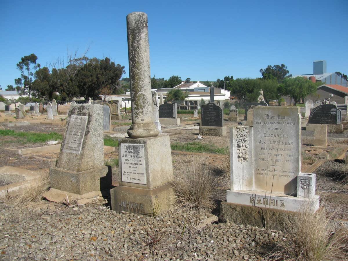 DIPPENAAR :: MULLER :: VAN NIEKERK