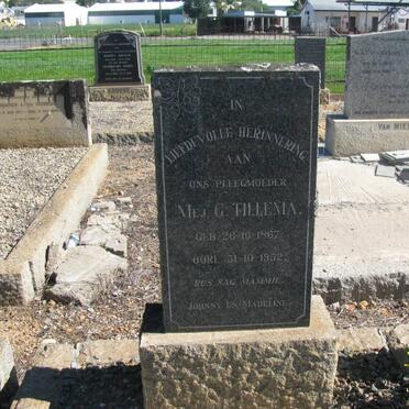 TILLEMA G. 1867-1952