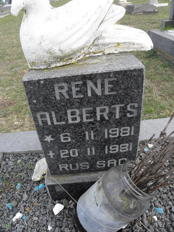 ALBERTS Rene 1981-1981