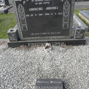 BADENHORST Cornelius Johannes 1910-1972 :: BADENHORST Matheus Wilhelm 1949-1983