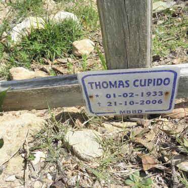 CUPIDO Thomas 1933-2006