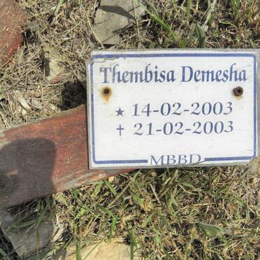 DEMESHA Thembisa 2003-2003