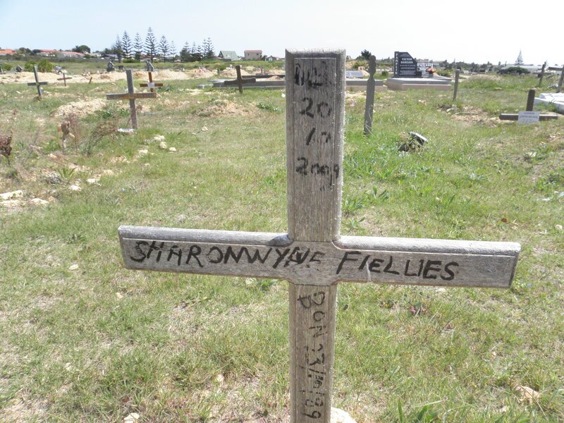 FIELLIES Sharon? 1989-2009