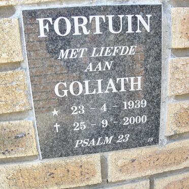 FORTUIN Goliath 1939-2000