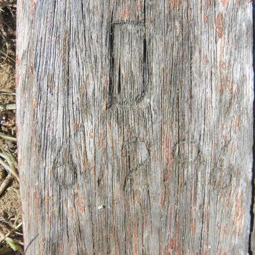 MANO Wilhelmina ?-1996