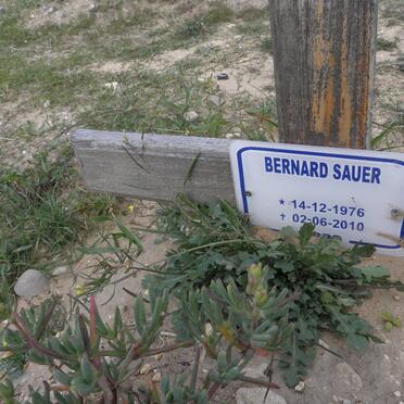 SAUER Bernard 1976-2010