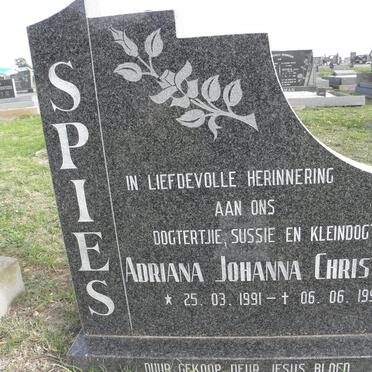 SPIES Adriana Johanna Christina 1991-1991