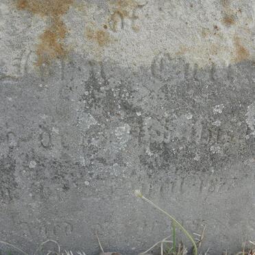 CUFF Elizabeth -1877