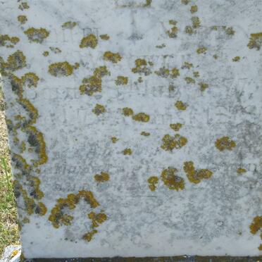 WIGGETT Samuel Martin 1877-1878