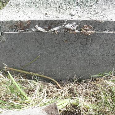 MACKAY H.M. 1885-1885