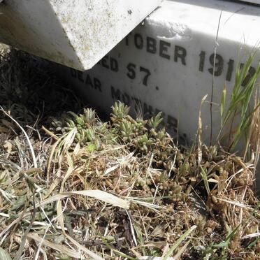 MATFIELD Ellen nee SIMS -1917