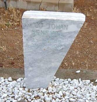 SENEKAL Nico Johan 1949-1996