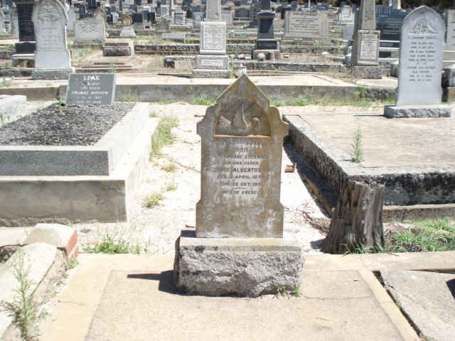 SADIE Hendrik Albertus 18??-1931