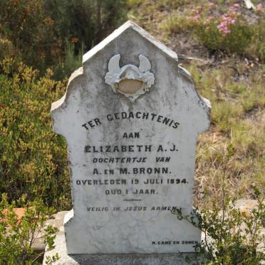 BRONN Elizabeth A.J. -1894
