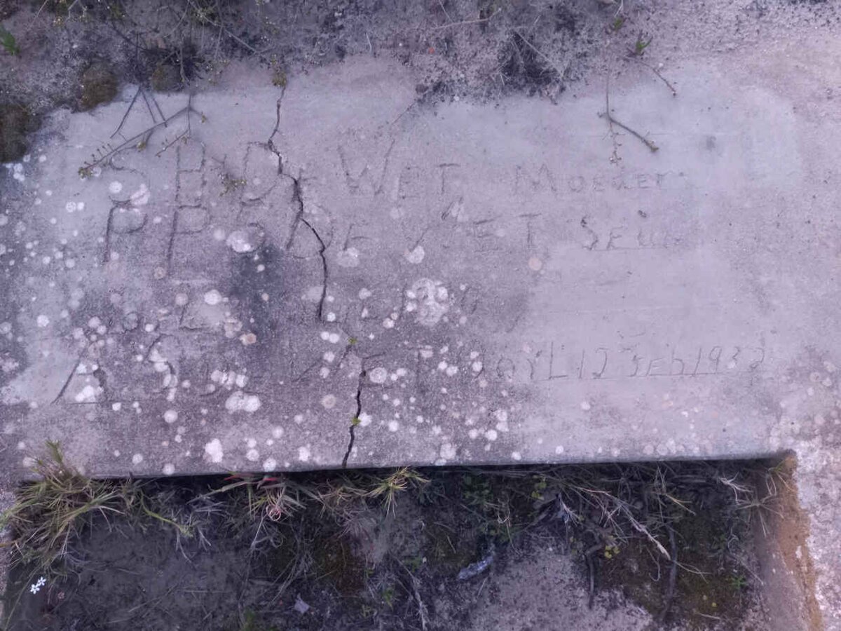 WET S.H.D., de -1896 :: WET P.P.S., de -1896 :: WET A.S., de -1932