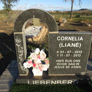 LIEBENBERG Cornelia 2013-2013