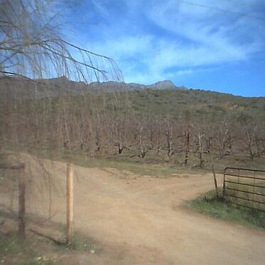 Western Cape, MONTAGU district, Kruispad 175, Scheepersrus, farm cemetery