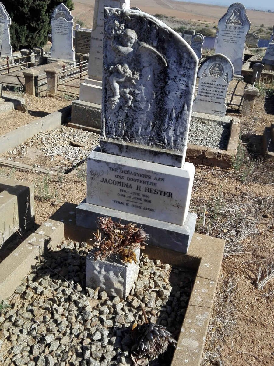 BESTER Jacomina H. 1930-1930